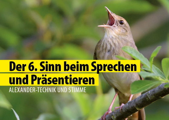 Bild zu Der 6. Sinn beim Sprechen und Pr&auml;sentieren - ALEXANDER-TECHNIK UND STIMME